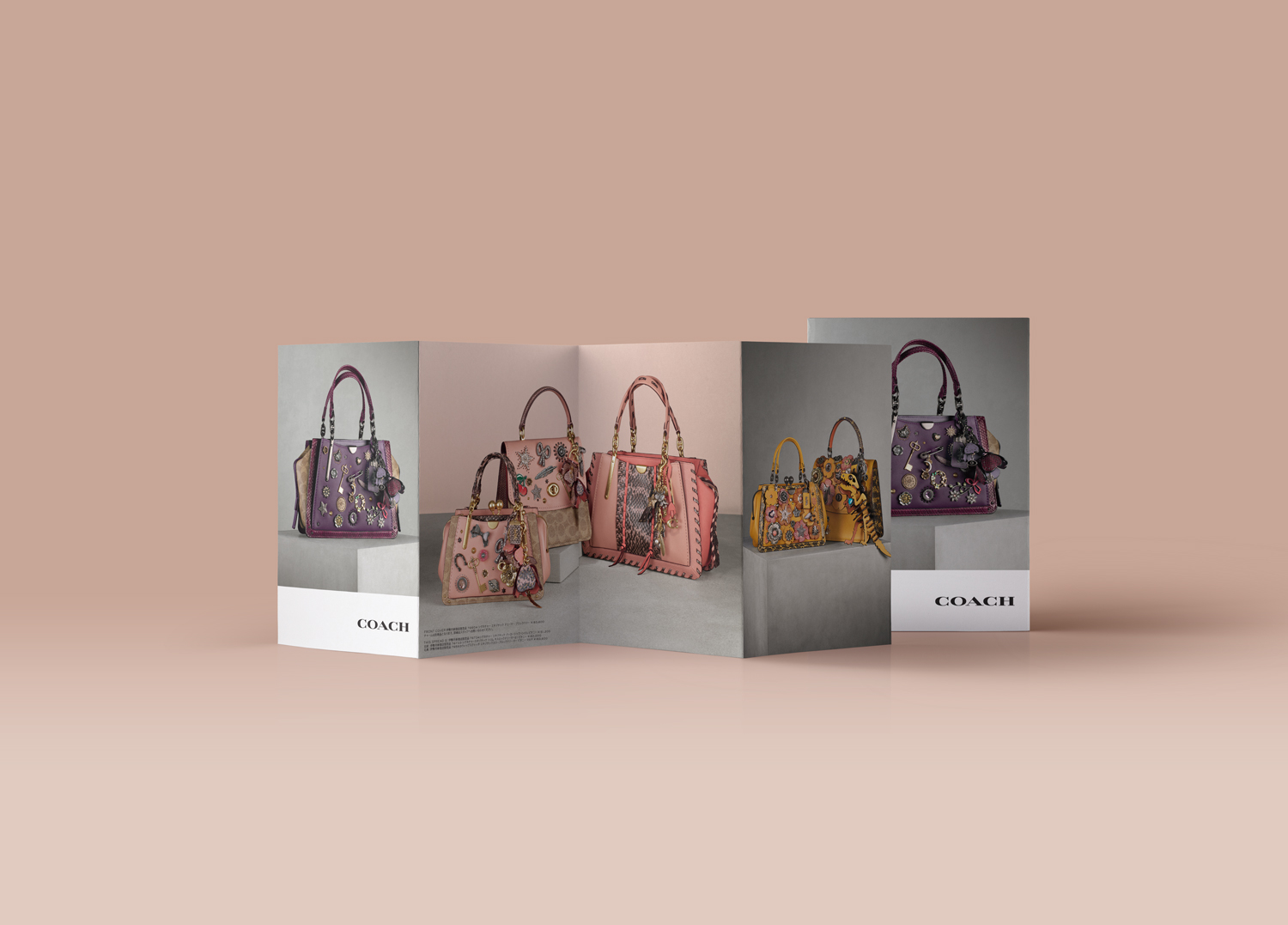 Istean-Direct-Mailer